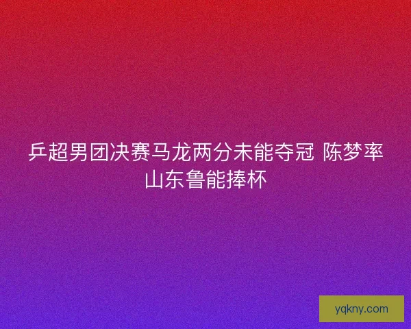 乒超男团决赛马龙两分未能夺冠 陈梦率山东鲁能捧杯