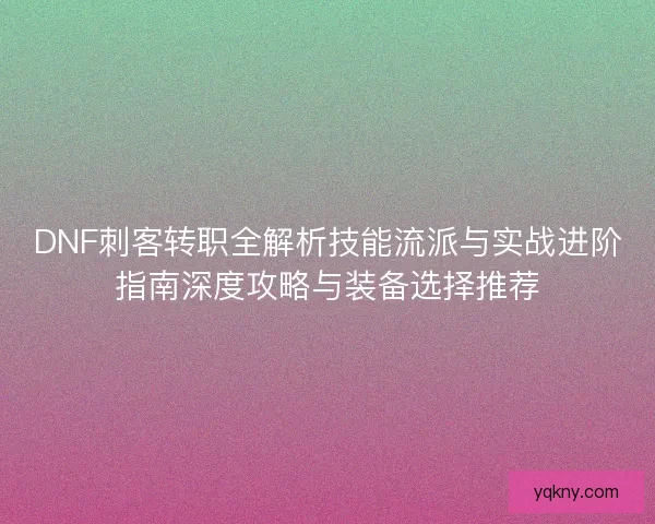 DNF刺客转职全解析技能流派与实战进阶指南深度攻略与装备选择推荐